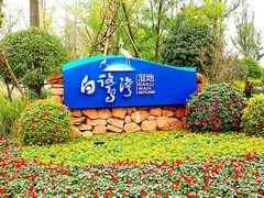 -白鹭湾湿地公园