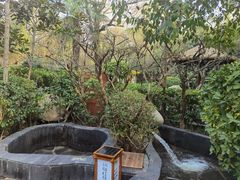 -西安国际创新人才交流中心•药浴温泉