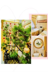 -芳朵美容养生SPA