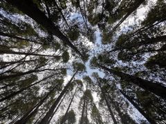 -同里国家湿地公园