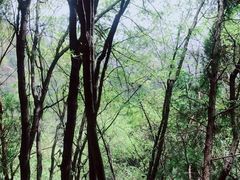 -辋川溶洞