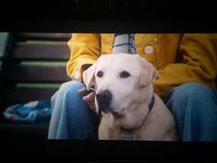 -星河国际影城(新会店)