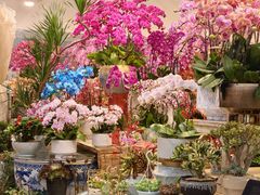 -双季花艺园艺市场(浦东店)