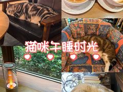 -咖法森林·咖啡  酒吧(天河店)