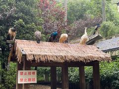 -黔灵山公园
