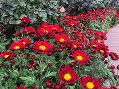 -人民公园(罗湖区)