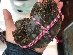 -秀丽东方