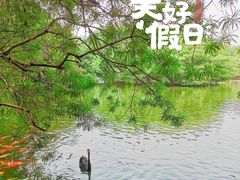 -深圳野生动物园