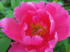 -哈尔滨文化公园