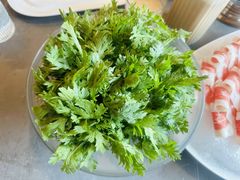 茼蒿-宴·天津·海鲜火锅(宾水西道店)