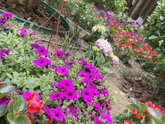 -花韵丁香酒店(北京南站牛街店)