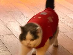 -布梵·台式热敷古法按摩Massage·Spa(品尊国际店)