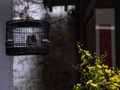 -31号公馆(黄兴广场白果园店)