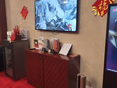 -郑州新郑国际机场T2航站楼-贵宾厅B区