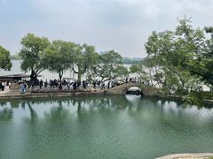 -苏州金科大酒店