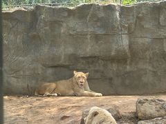 -北京野生动物园