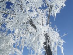 -太子岭滑雪场