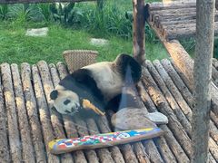 -大连森林动物园