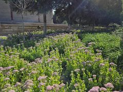 -张掖大佛寺景区