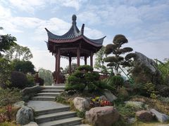 -东莞植物园