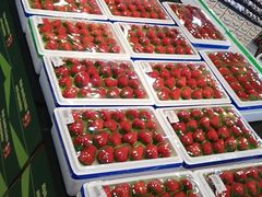 -果蔬好生活超市(乐堤港店)