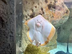 -珠海长隆海洋王国