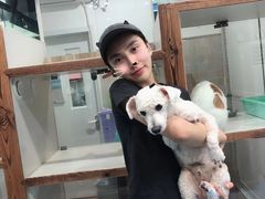 -爱侣宠医·鹦鹉专科·小型哺乳类·异宠专科(灵石路店)