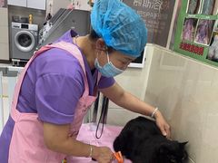 -北京观赏动物医院·24小时大型综合·猫专科·异宠专科