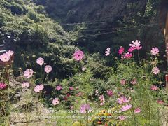 -小五台金河景区