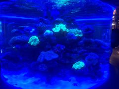 -上和臻品中国菜(花园街店)