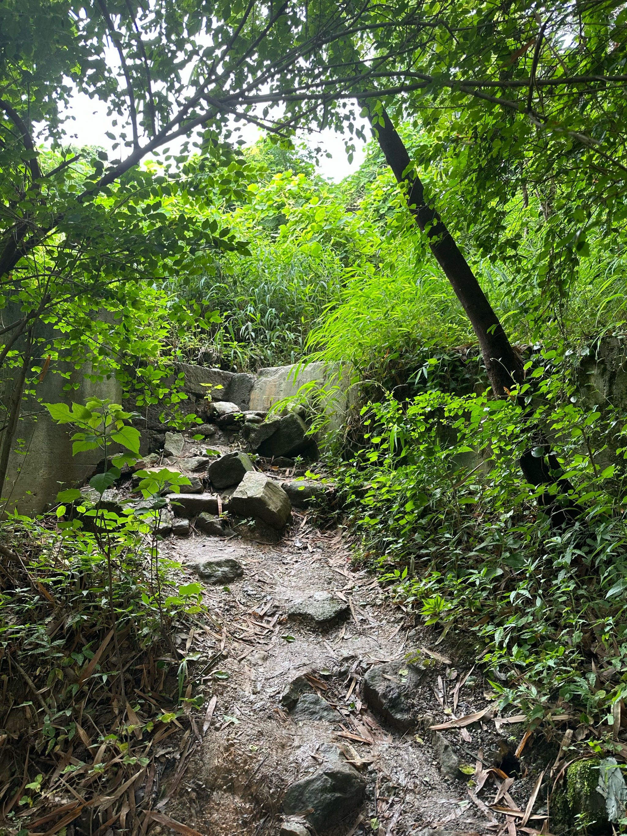 曲径通幽的山间路