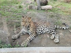 -沈阳森林动物园