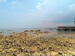 -养马岛旅游度假区