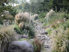 -上海辰山植物园