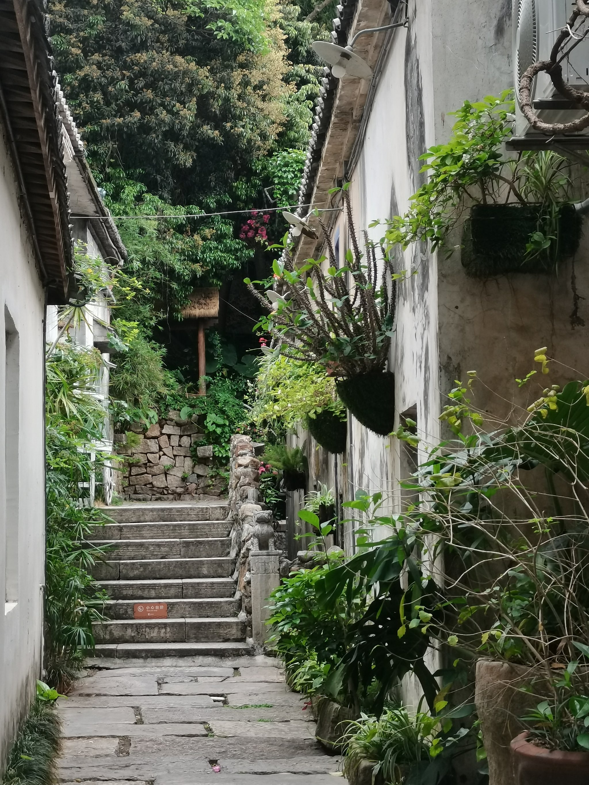 深圳布吉莲花小巷子图片