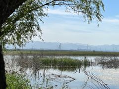 -野鸭湖国家湿地公园