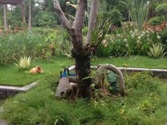 -西双版纳融创皇冠假日度假酒店