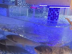 -后湖小院·乡野田园菜