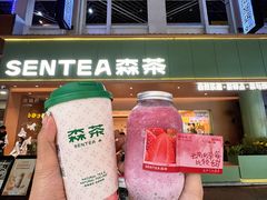 -森茶(湛江万达店)
