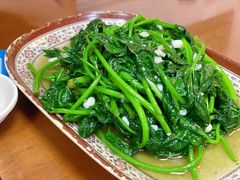 地瓜叶-聂记粤菜馆(鼓西路店)