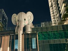 -深圳星河丽思卡尔顿酒店