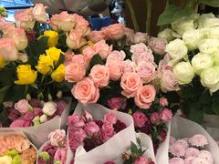 -绿叶子(春秀路店)