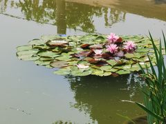 -国家植物园南园