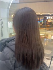 -YESIDO椰岛造型