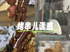 -深圳野生动物园