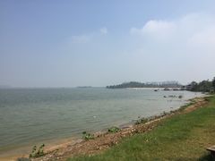 -瑶湖郊野森林公园