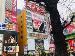 -秋叶原电器街