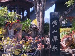 -碑林公园