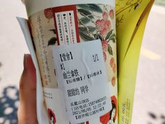 -茶颜悦色(岳麓山顶店)