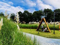 -中国天府农业博览园